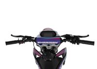 купить Мотоцикл питбайк SHARMAX Sport 190 Miami в Москве - фото 