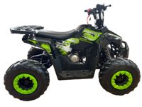 купить Квадроцикл RACER Hawk 110 в Москве - фото 