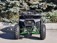 купить Квадроцикл RMOTO Lion 125AR Lite в Москве - фото 