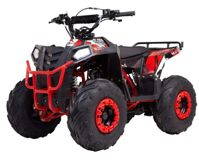 купить Квадроцикл RAPTOR 8 в Москве - фото 
