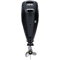 купить 4х-тактный лодочный мотор MERCURY F 100 ELPT EFI в Москве - фото 