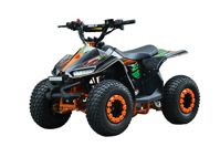 купить Квадроцикл WELS Tukah 110 в Москве - фото 