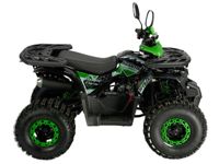 купить Квадроцикл AVANTIS Classic 8 New lux в Москве - фото 