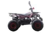 купить Квадроцикл MOTAX ATV Grizlik Premium 125cc в Москве - фото 