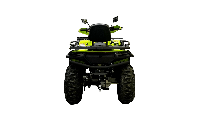 купить Квадроцикл BISON 330L в Москве - фото 