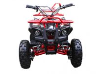 купить Квадроцикл MOTOLAND 50 Mini в Москве - фото 