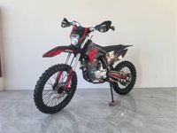 купить Мотоцикл PITONMOTO MX3 PR300 21/18 ENDURO в Москве - фото 