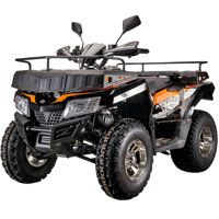 купить Квадроцикл YACOTA Cabo 200 в Москве - фото 