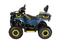 купить Квадроцикл AVANTIS Ray 200 Premium в Москве - фото 