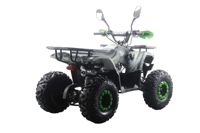 купить Квадроцикл MOTAX ATV Grizlik Premium 125cc в Москве - фото 