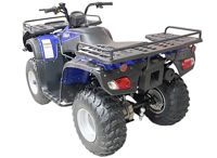 купить Квадроцикл ARMADA ATV 250L в Москве - фото 