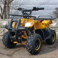 купить Квадроцикл YACOTA Smarty 110 в Москве - фото 