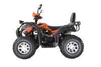 купить Квадроцикл YACOTA Sela 200 Max в Москве - фото 