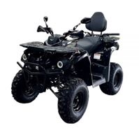 купить Квадроцикл BISON Forest 200 Lux в Москве - фото 