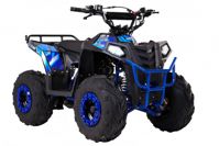 купить Квадроцикл WELS Thunder EVO M детский в Москве - фото 