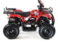 купить Квадроцикл MOTAX ATV Mini Grizlik X-16 в Москве - фото 