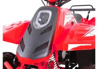 купить Квадроцикл SHARMAX 130 Cross в Москве - фото 