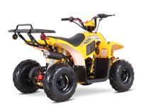 купить Квадроцикл SHARMAX 130 Cross в Москве - фото 