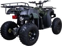 купить Квадроцикл AVANTIS Hunter 150 Lite в Москве - фото 