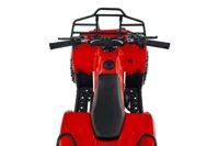 купить Квадроцикл TIGER Mini 49 (2024) в Москве - фото 