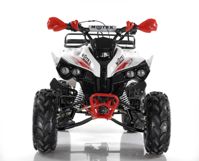купить Квадроцикл MOTAX ATV Raptor Super LUX 125 cc в Москве - фото 