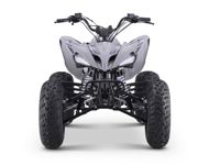 купить Квадроцикл SHARMAX Raizer Race Cup 250 в Москве - фото 