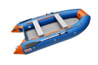 купить Лодка ПВХ РОДЖЕР Zefir Trofey 3100 в Москве - фото 