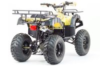 купить Квадроцикл MOTOLAND 250 Adventure (2021 Г.) в Москве - фото 