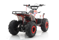 купить Квадроцикл MOTAX Grizlik A110 в Москве - фото 