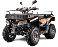 купить Квадроцикл RATO 200 в Москве - фото 