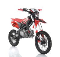 купить Мотоцикл WELS RT 125 17/14 П/А PITBIKE в Москве - фото 
