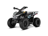 купить Квадроцикл SHARMAX Cross 180 RX в Москве - фото 