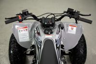 купить Квадроцикл SHARMAX Raizer Race Cup 250 в Москве - фото 