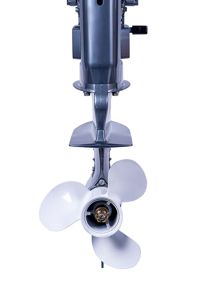 купить 2х-тактный лодочный мотор SEANOVO SN30FFES в Москве - фото 