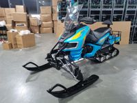 купить Снегоход MOTOLAND Bars 200 в Москве - фото 