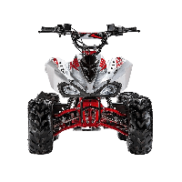 купить Квадроцикл ACCESS AMS 110 MiniSport в Москве - фото 