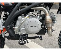 купить Мотоцикл FIDELIS ET Fortis SE150E Pro PITBIKE в Москве - фото 