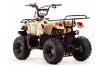 купить Квадроцикл MOTOLAND 110 Rider (2021 Г.) в Москве - фото 