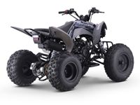 купить Квадроцикл SHARMAX Raizer Race Cup 250 в Москве - фото 