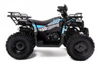 купить Квадроцикл SHARMAX Activator 250 в Москве - фото 