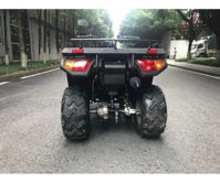 купить Квадроцикл RATO RT 250 ST LD в Москве - фото 