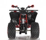 купить Квадроцикл WELS EVO X2 в Москве - фото 