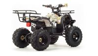купить Квадроцикл MOTOLAND 150 Fox в Москве - фото 