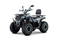 купить Квадроцикл YACOTA Viking 200 в Москве - фото 