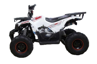 купить Квадроцикл AVANTIS Hunter 7 New Lux в Москве - фото 