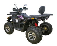 купить Квадроцикл AVANTIS Hunter 200 BIG Premium (Баланс. вал) в Москве - фото 