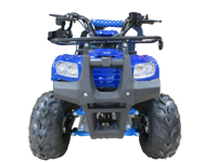 купить Квадроцикл ATV Atomik Spark в Москве - фото 