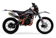 купить Мотоцикл кроссовый эндуро ПРОГАСИ Palma 300 в Москве - фото 