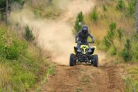 купить Квадроцикл YAMAHA YFM700R SE (ПСМ) в Москве - фото 