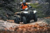 купить Квадроцикл KAWASAKI Brute Force 750 LE EPS Camo (2024) (ПСМ) в Москве - фото 